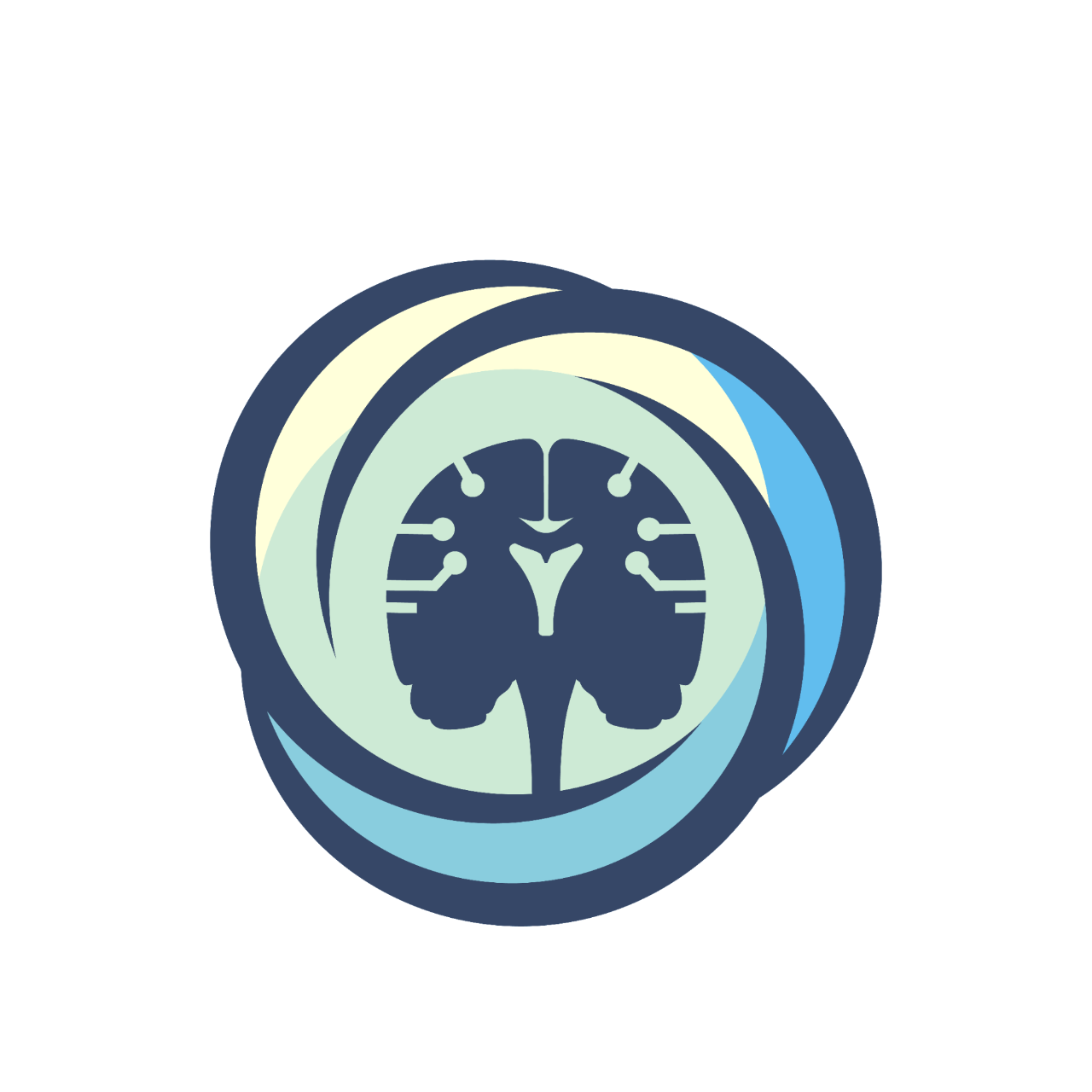 INN Institute of Technology